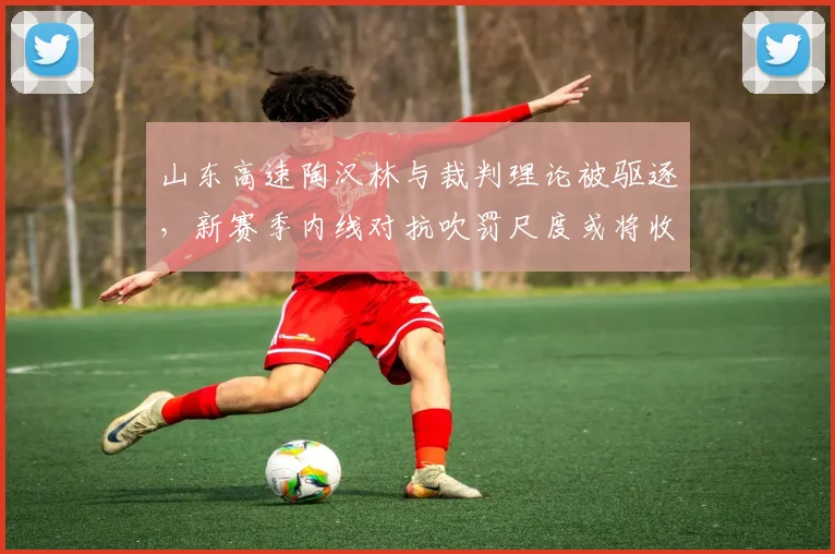 山东高速陶汉林与裁判理论被驱逐，新赛季内线对抗吹罚尺度或将收紧
